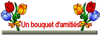 Un bouquet d'Amitié pour vous et bon week-end à tous  !!